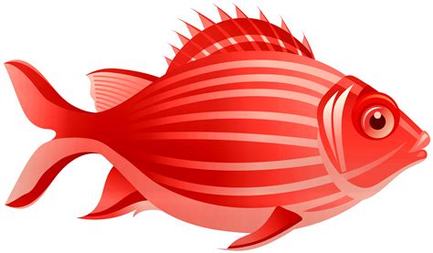 clipart red fish|red fish transparent.